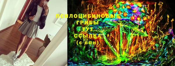 гидра Каменск-Шахтинский