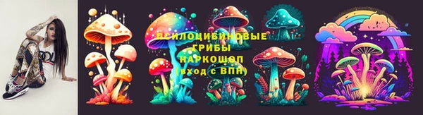 mdpv Каменка