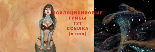 стафф Балашиха