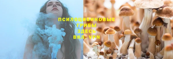первитин Киреевск