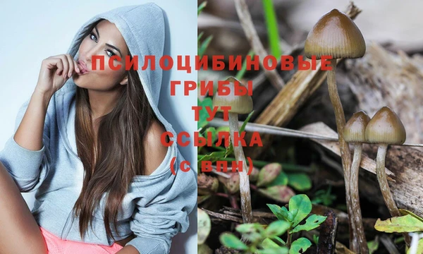 тгк Каменногорск