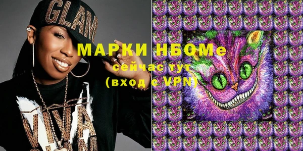 сатива Карпинск
