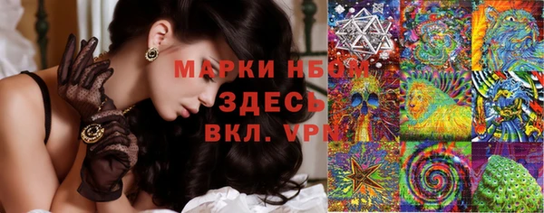 гидра Каменск-Шахтинский