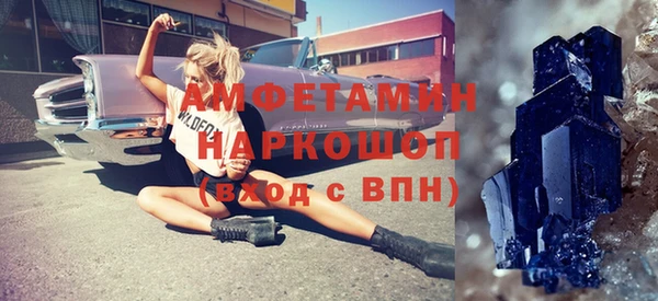 сатива Карпинск