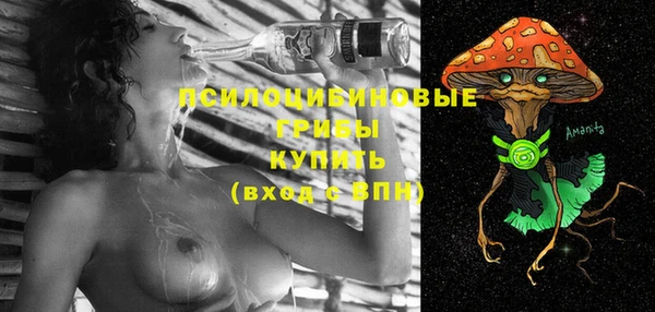 сатива Карпинск