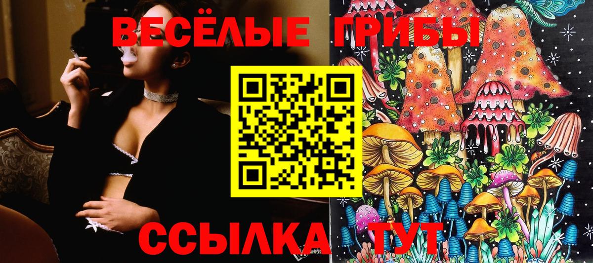 Галлюциногенные грибы прущие грибы Кыштым