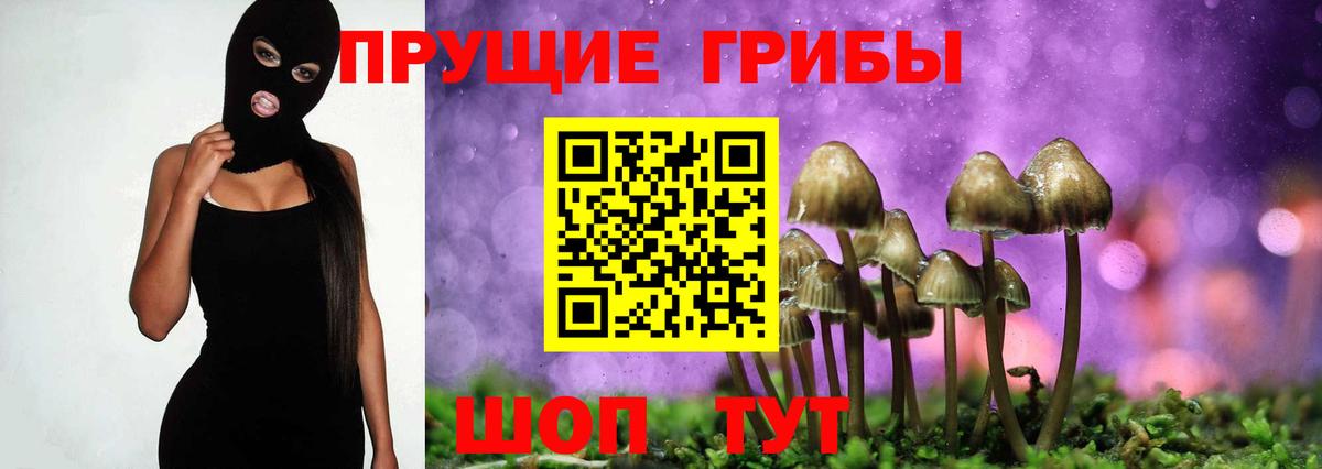 Псилоцибиновые грибы Cubensis  где купить наркоту  Кыштым  Вход с VPN 